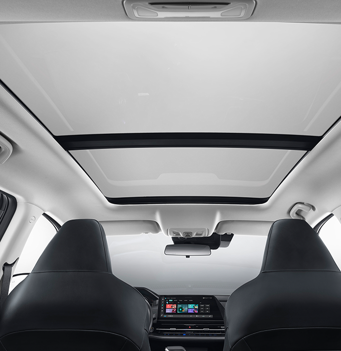 Blind Spot Monitoring (BSM)